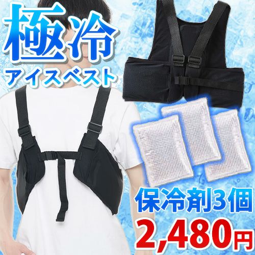 セット買いで1個あたり最大2,150円に！】 アイスベスト 保冷剤 3個